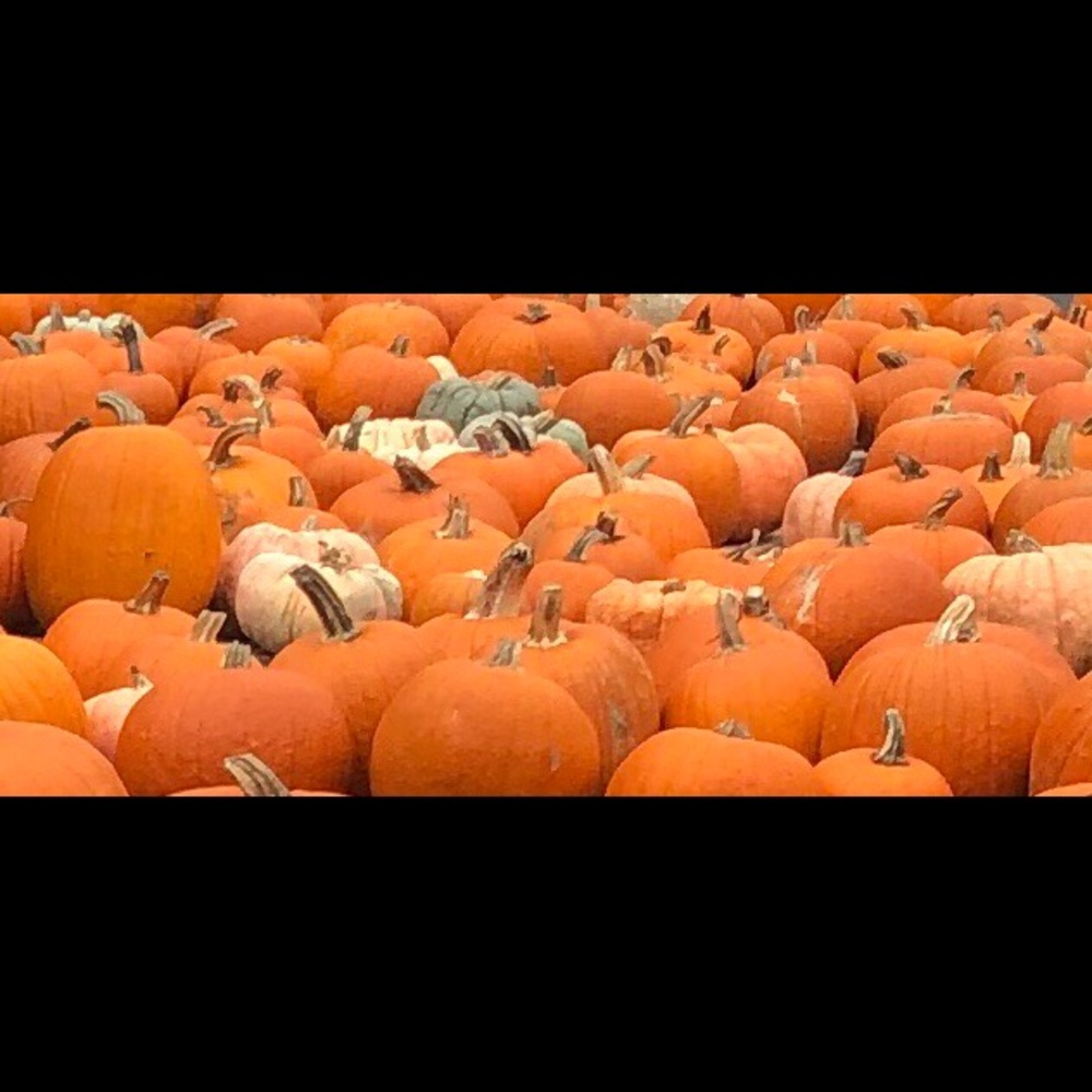 Meet your Posher, Joe